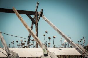 Skeletons and thorns