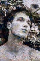 Day Dream In Colour