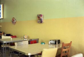 “Elective Eve”: William Eggleston